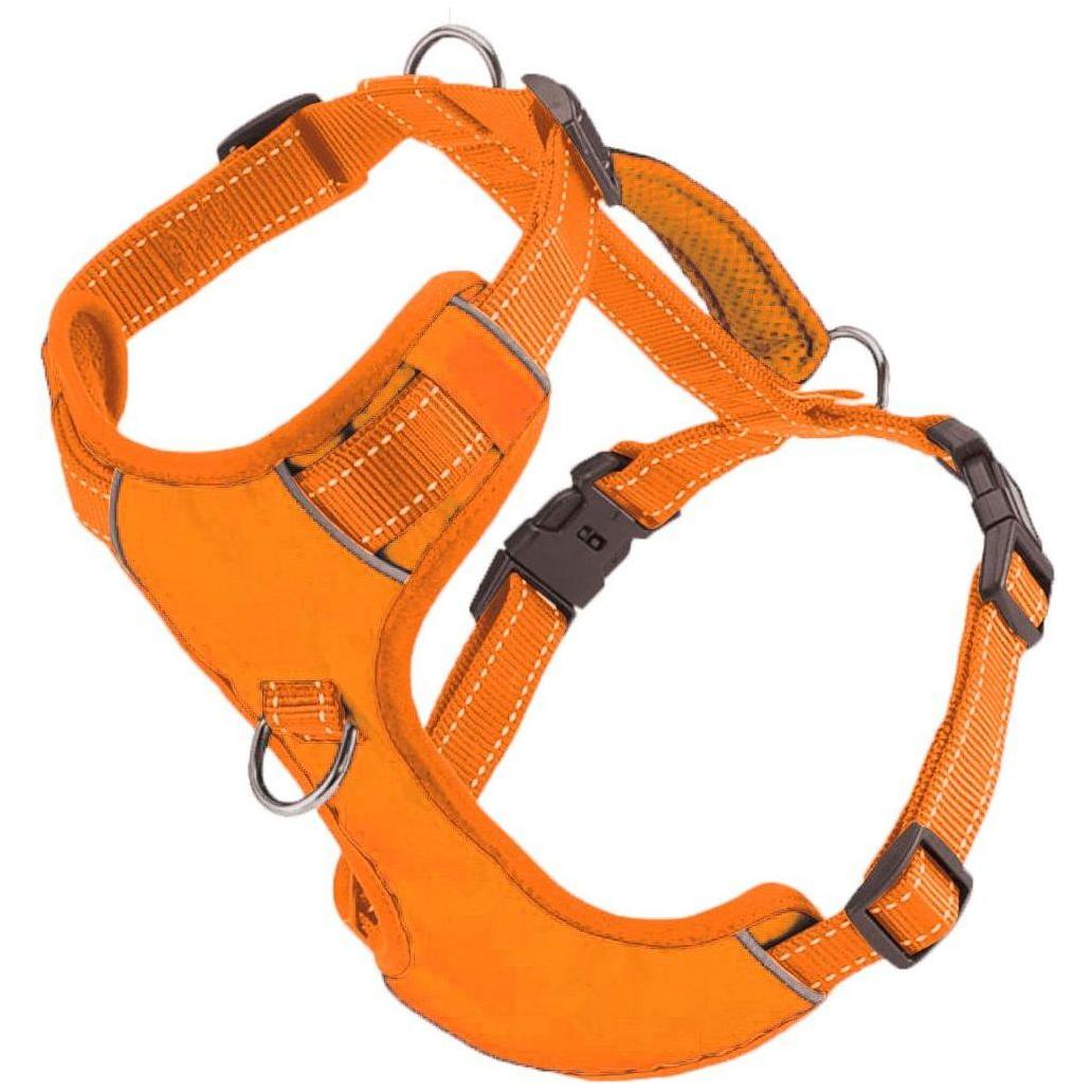 Chesapeake Bay Dog Harness