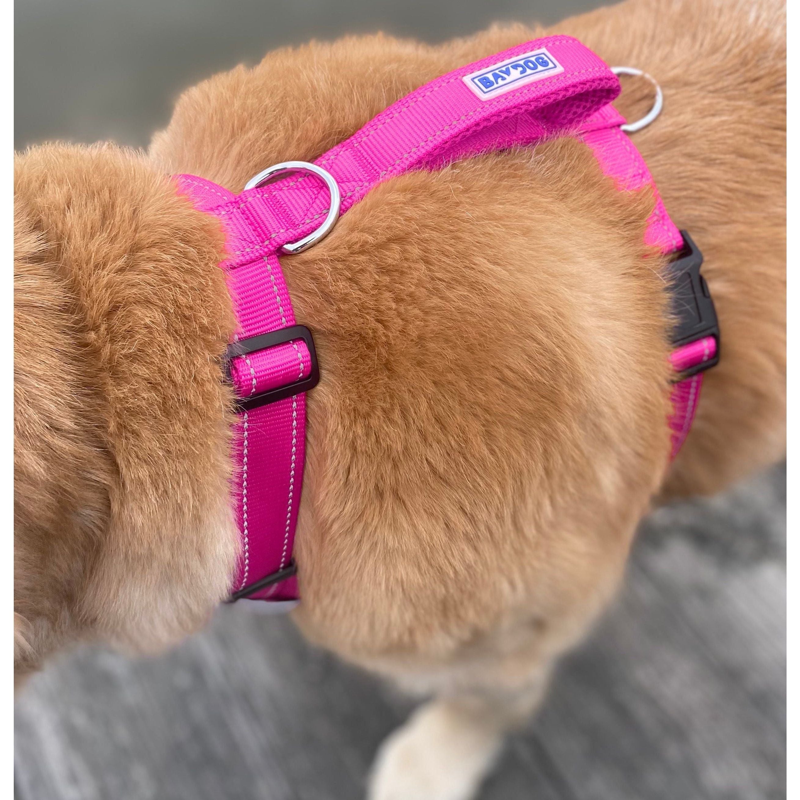 Chesapeake Bay Dog Harness