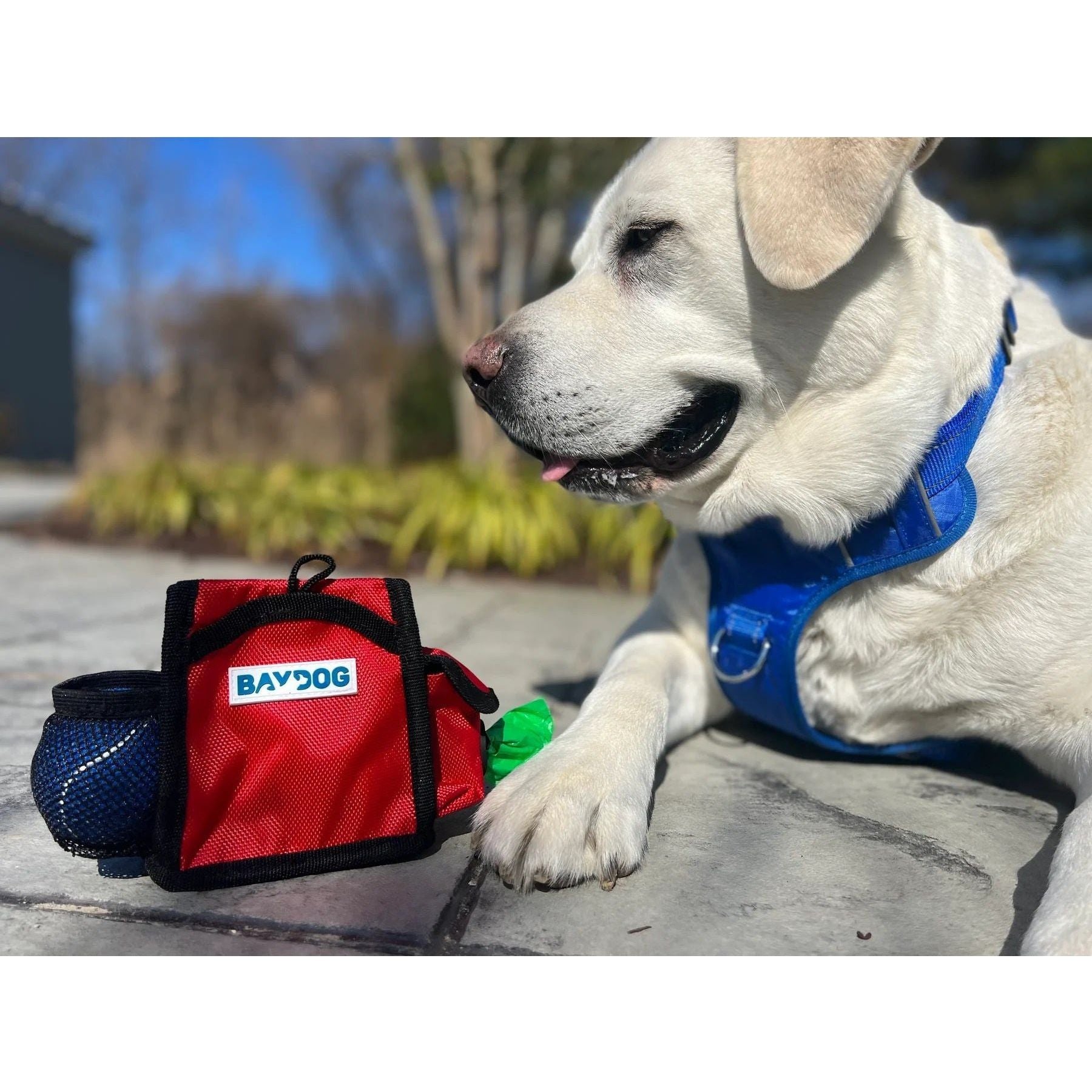 Bay Dog PACK-N-GO BAG