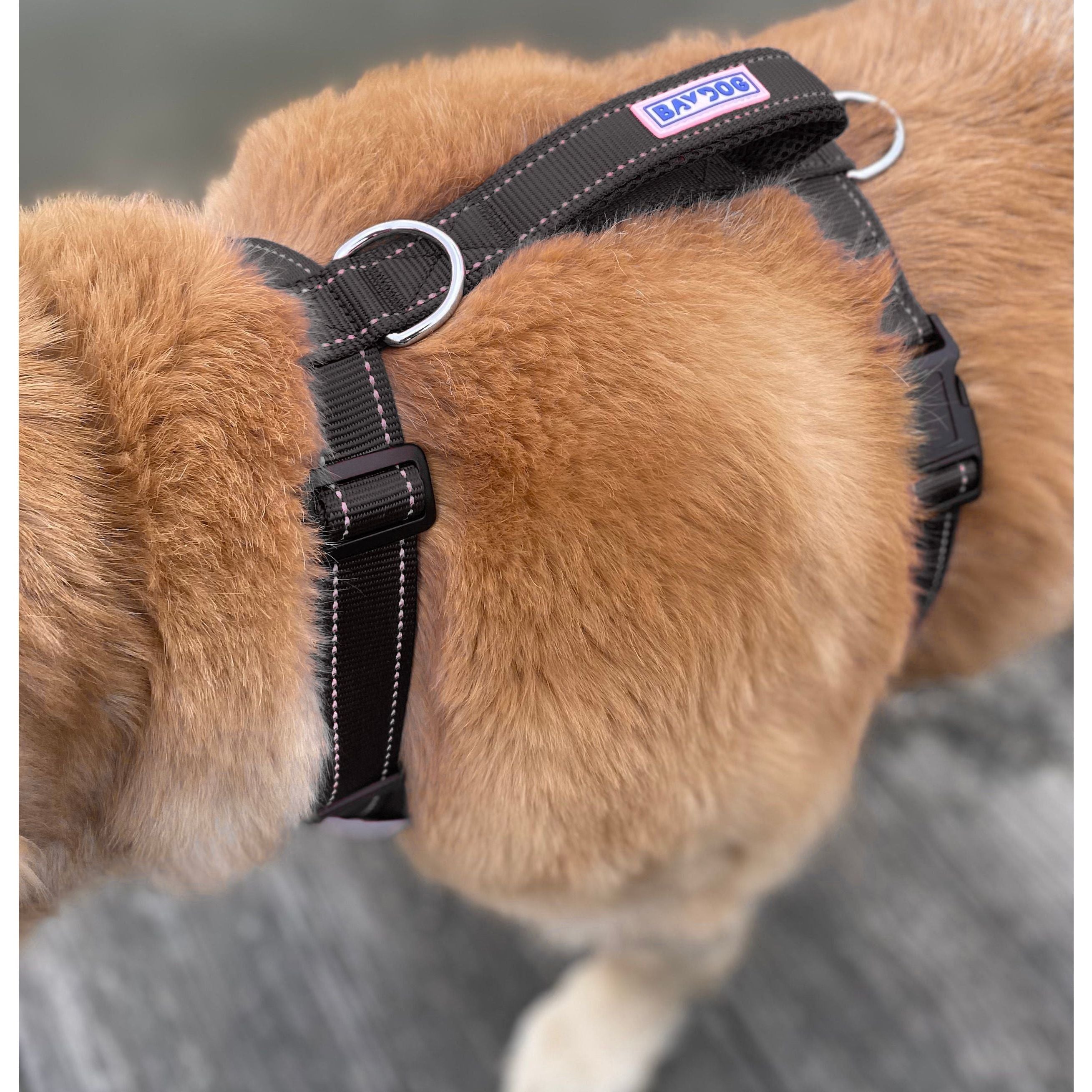 Chesapeake Bay Dog Harness