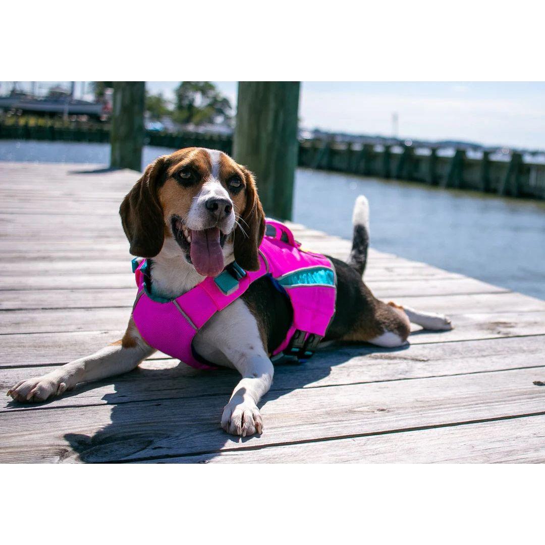 Bay Dog's Monterey Bay Offshore Life Jackets