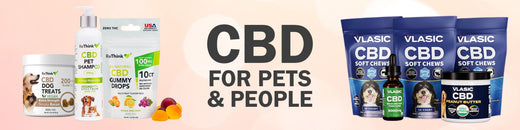 CBD Opportunities