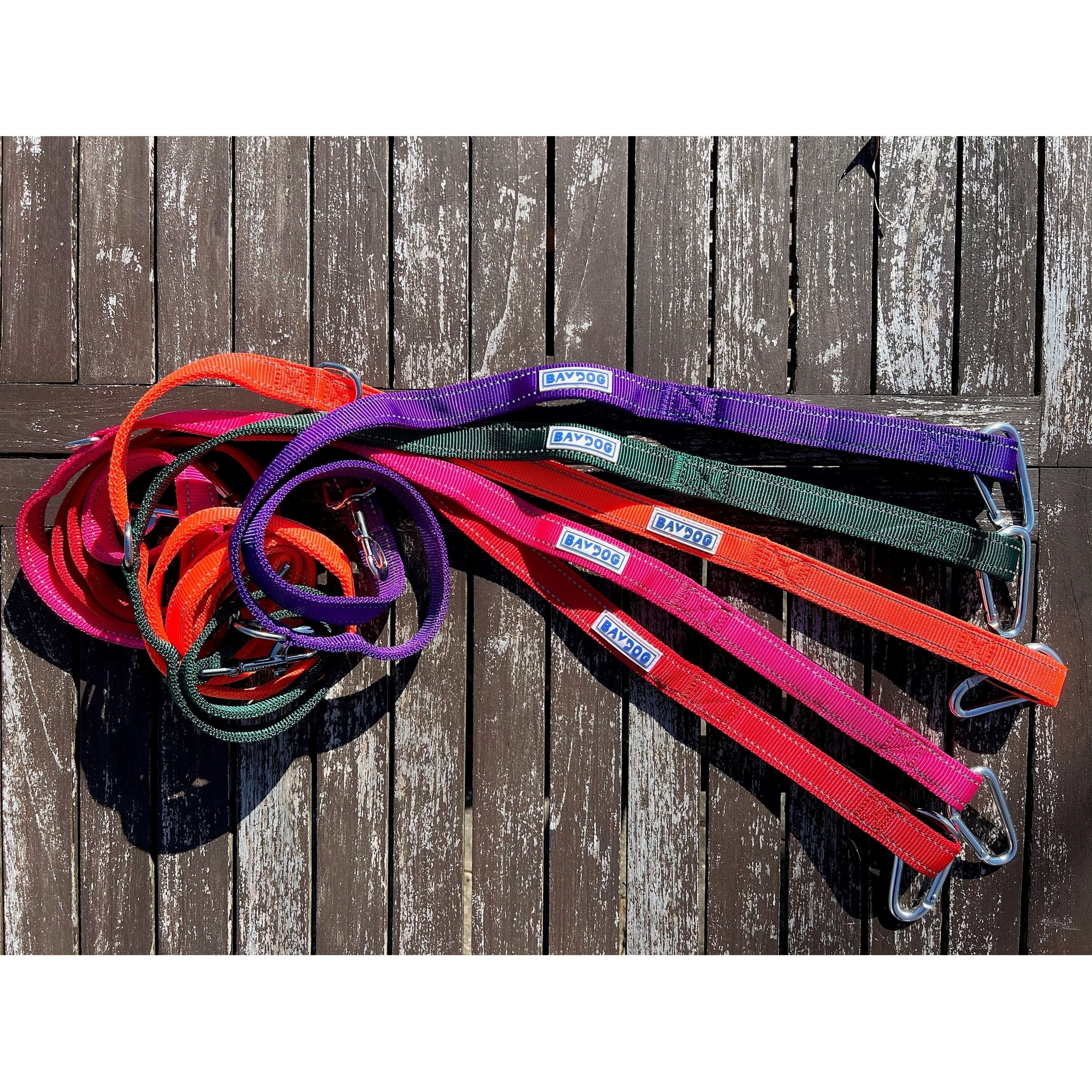 Hudson Bay Dog Leash