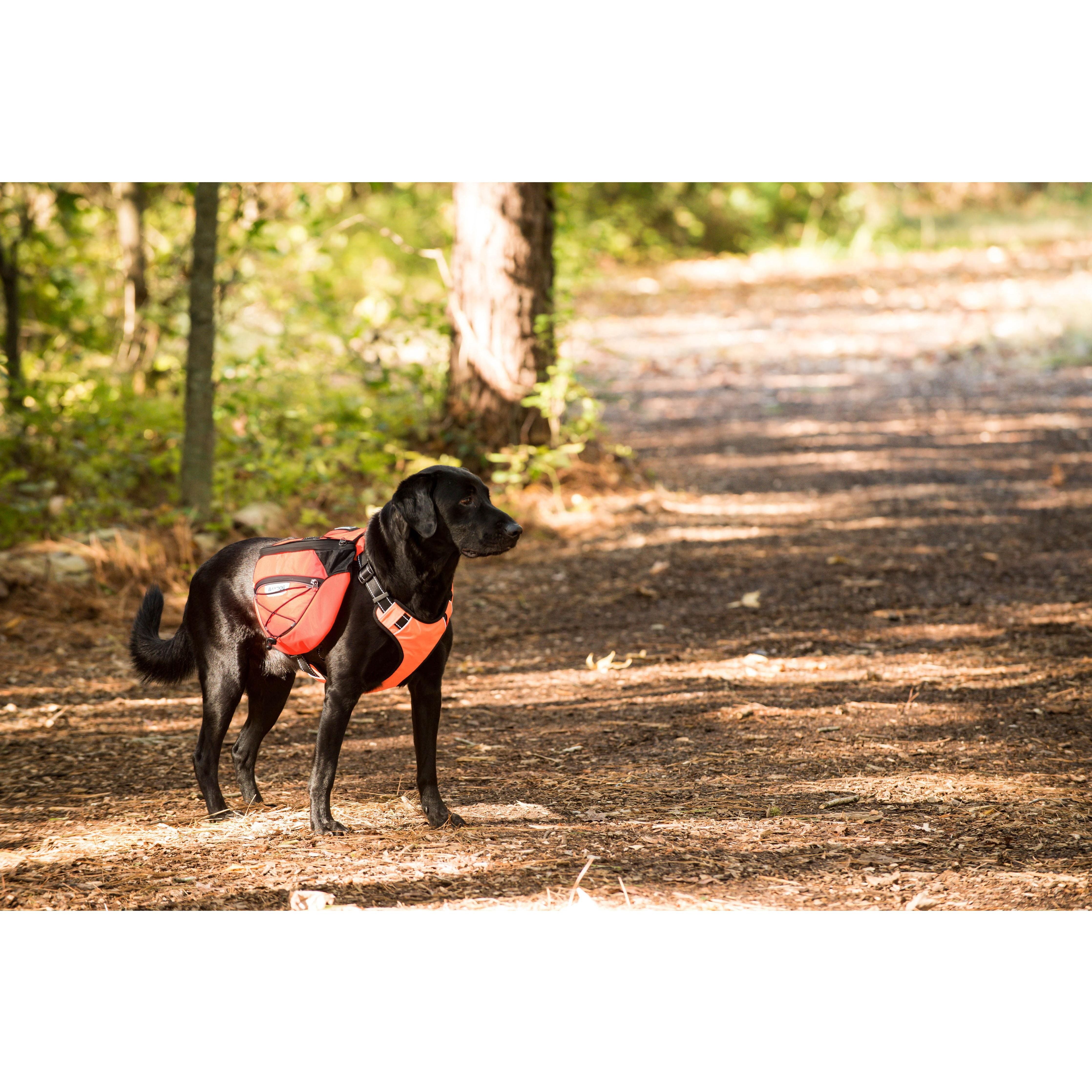 Bay Dog Saranac Dog BackPack - Orange