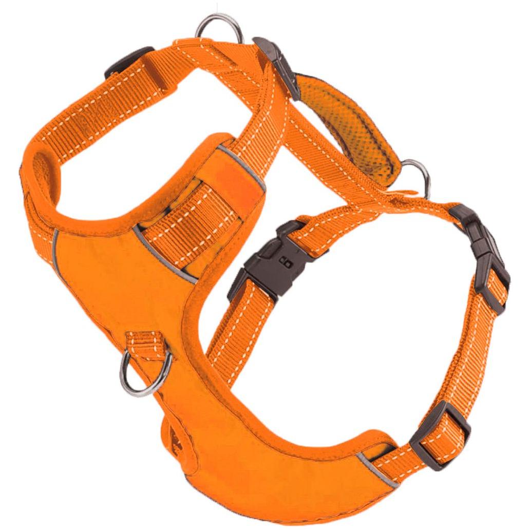 Chesapeake Bay Dog Harness