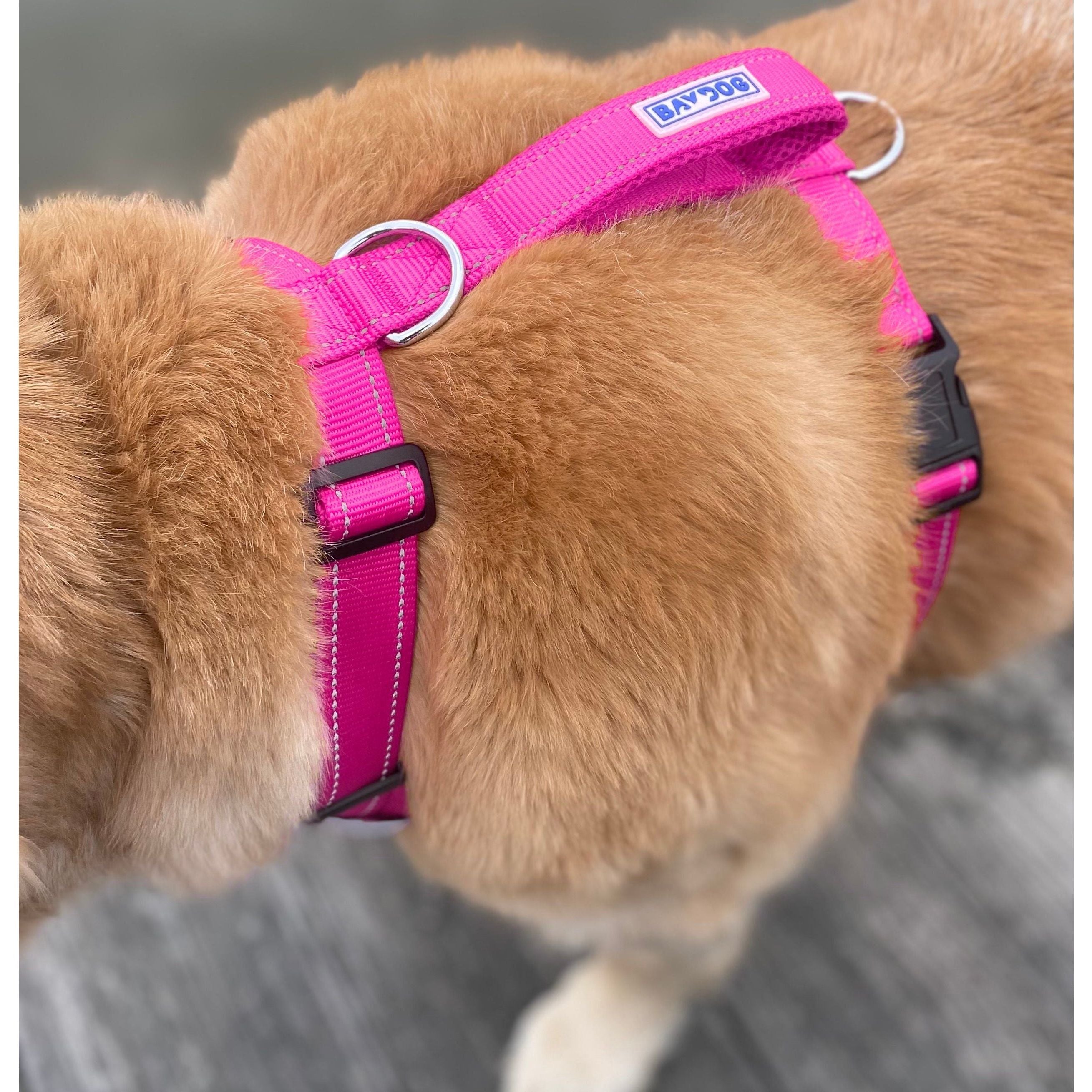 Chesapeake Bay Dog Harness