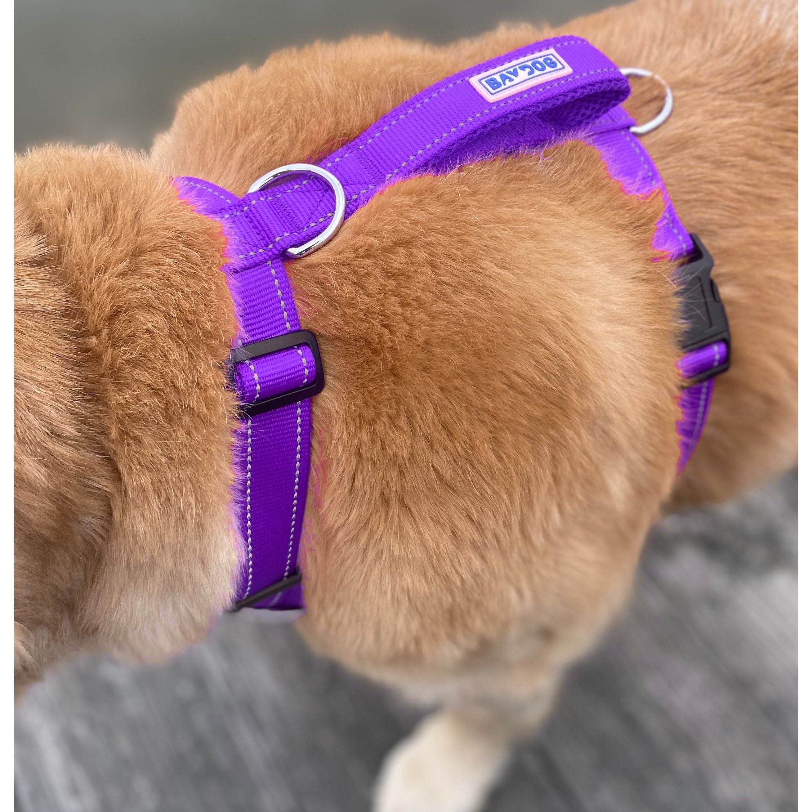 Chesapeake Bay Dog Harness