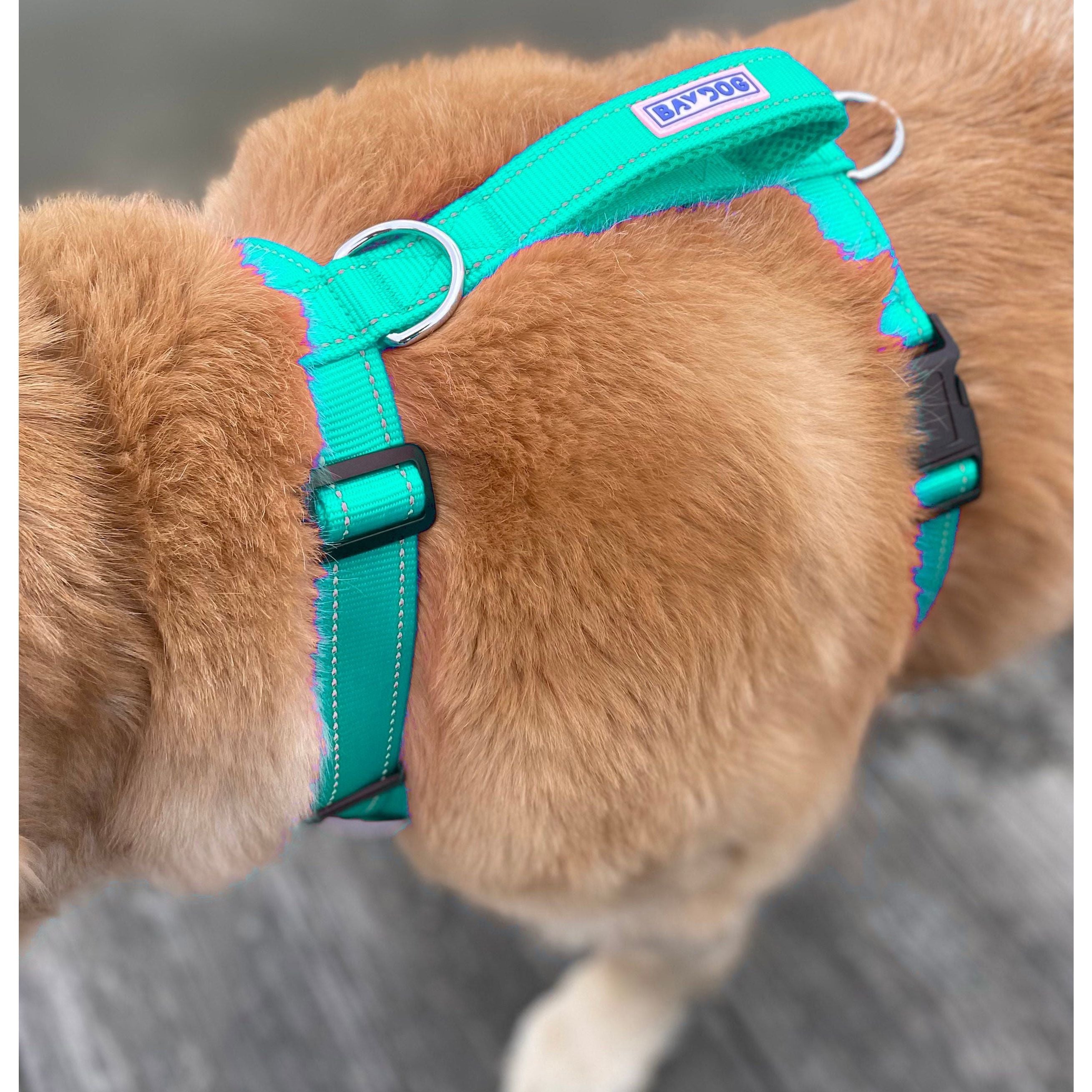 Chesapeake Bay Dog Harness