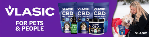 Vlasic CBD