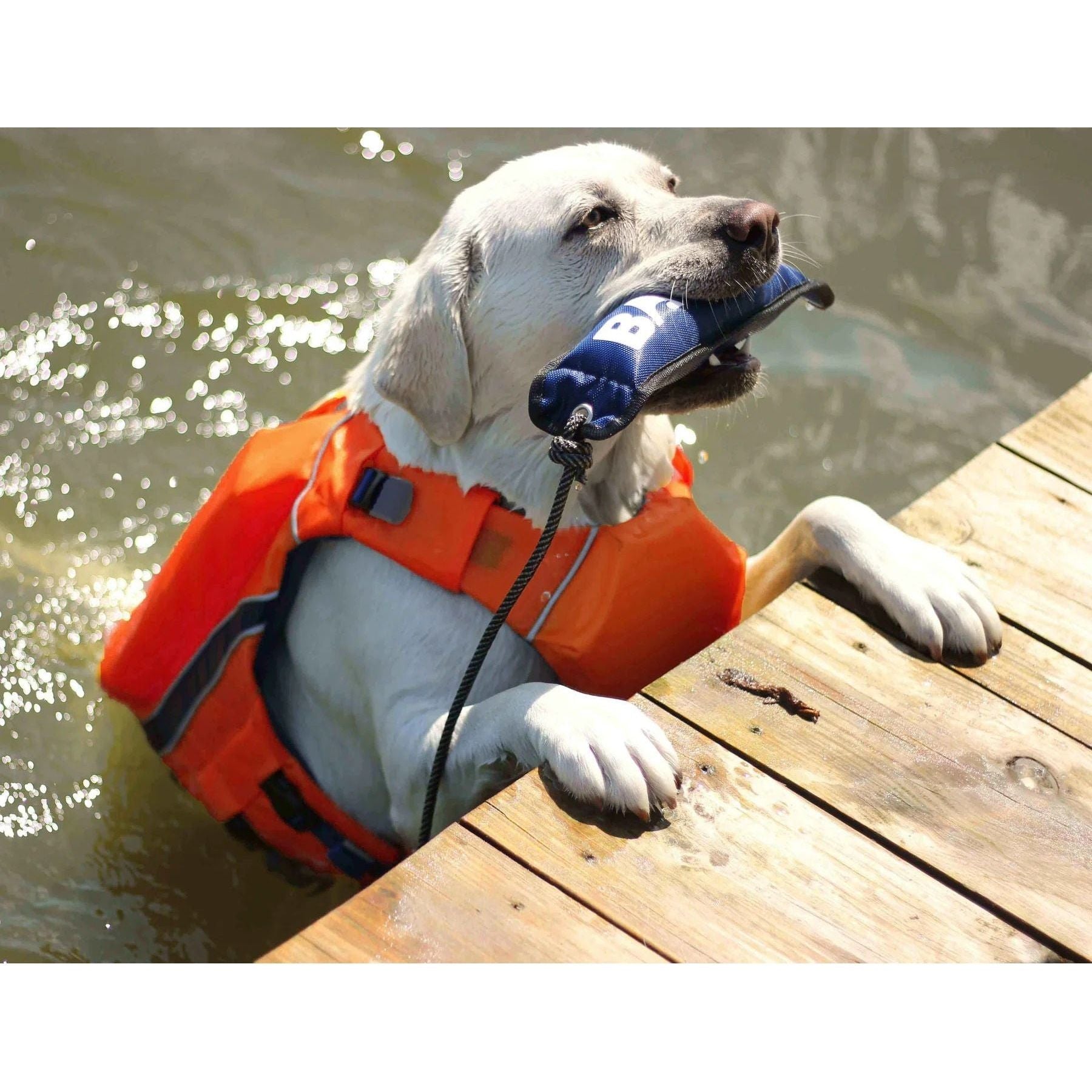 Bay Dog's Monterey Bay Offshore Life Jackets