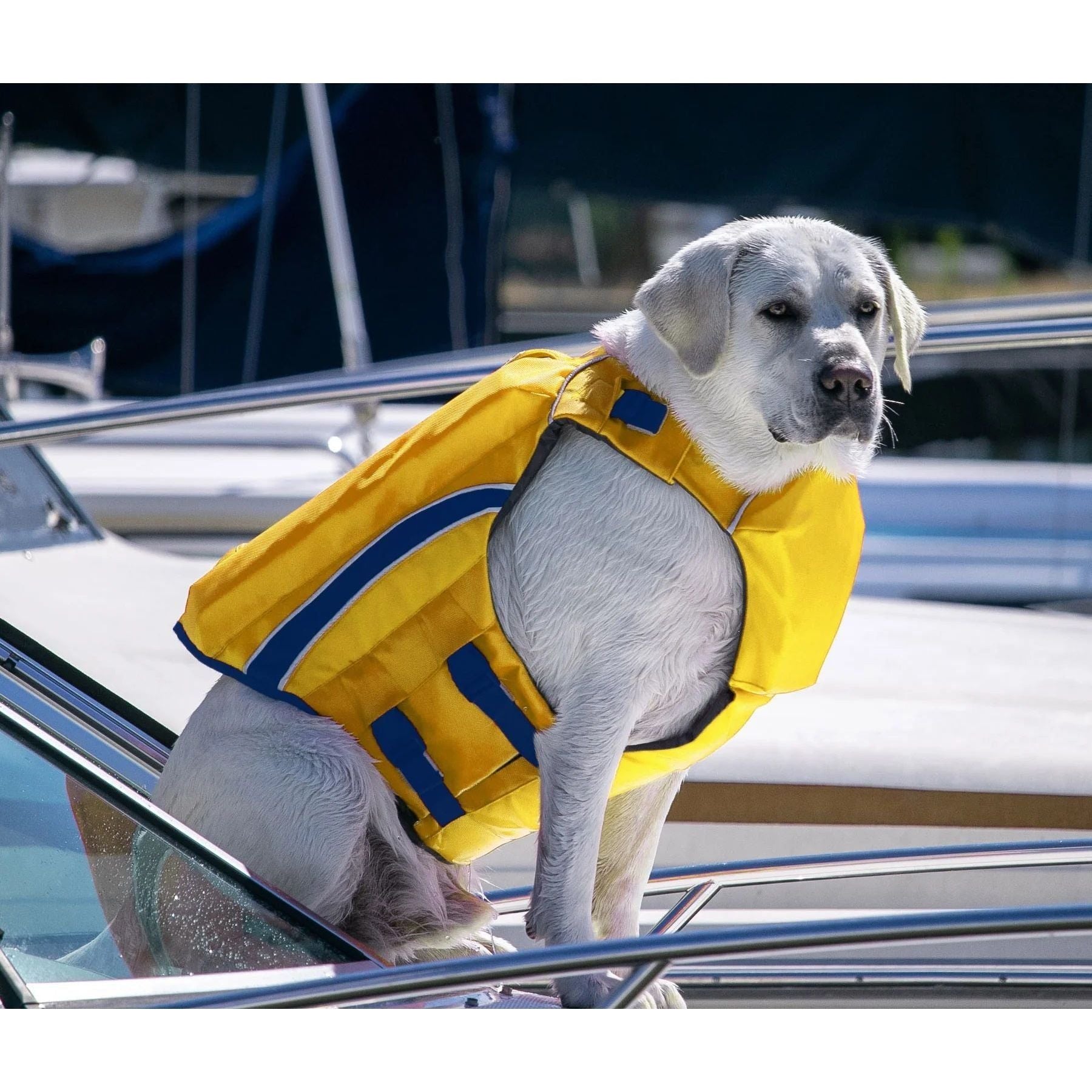 Bay Dog's Monterey Bay Offshore Life Jackets