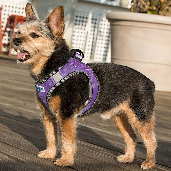 Liberty Bay Dog Harness