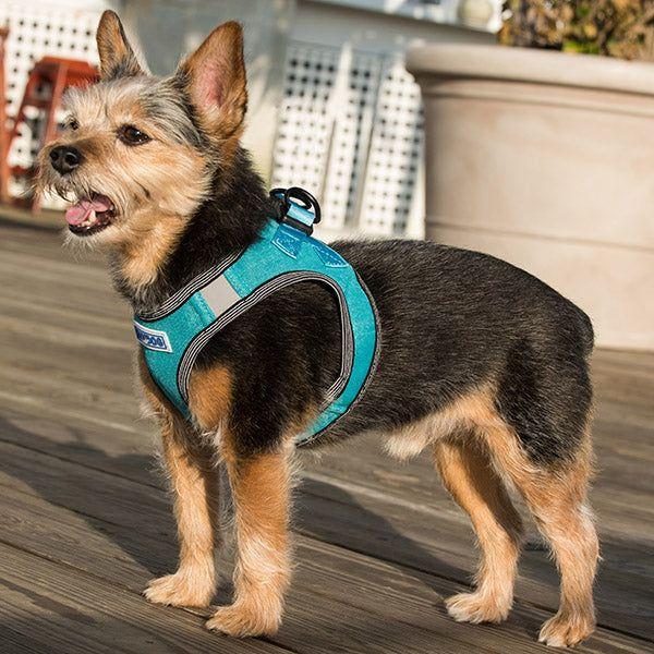 Liberty Bay Dog Harness