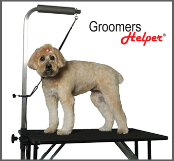 dog grooming starter kit
